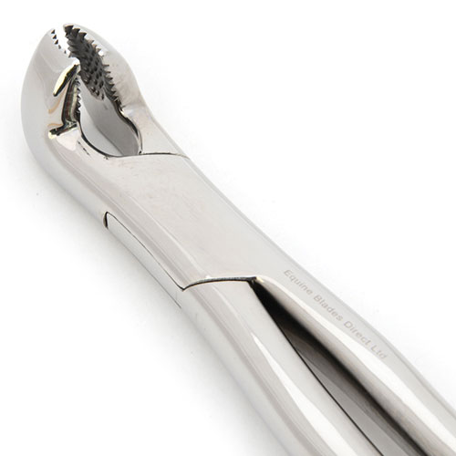 DYNAMIC Pro Concave Molar Forceps – NEW DESIGN