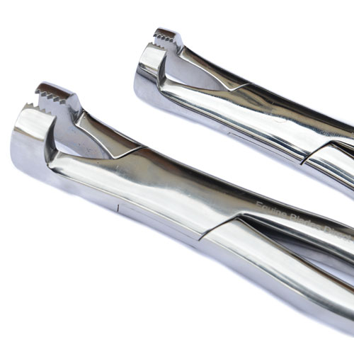 Pony Serrated Forceps - Image 2