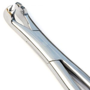 Pony 4 Root Forceps