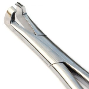 Pony Serrated Forceps