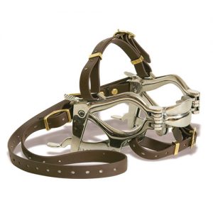 Pony Speculum