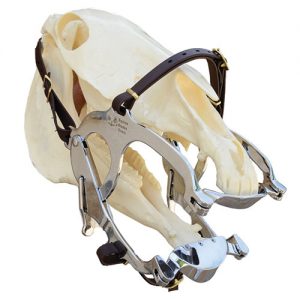 Super Deluxe Speculum